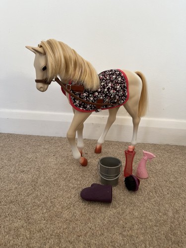Our generation palomino - our, foal