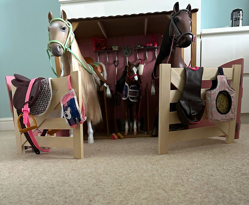 Our generation horse - horse, stable