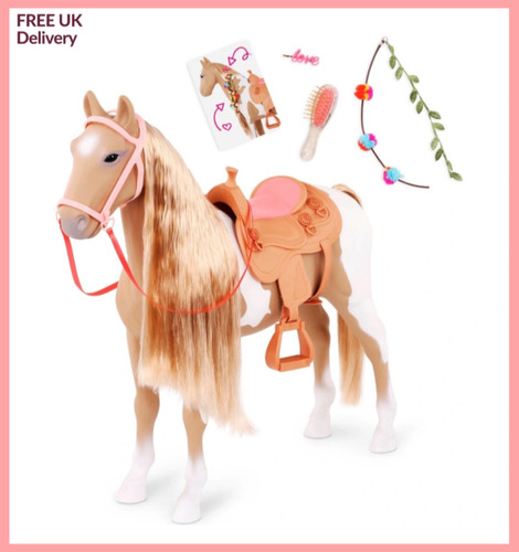 Our generation palomino - our,