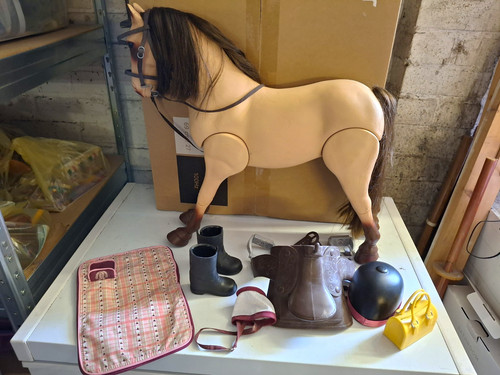 Our generation horse - our,
