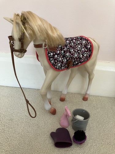 Our generation palomino foal - our,