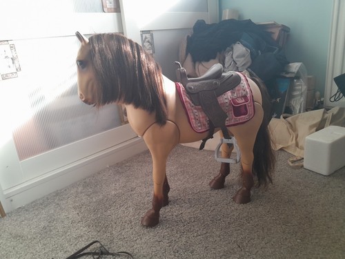 Our generation horse with - our,