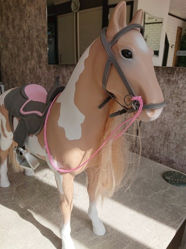 Our generation horse - our,