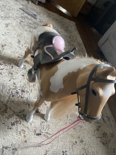 Our generation horse - generation,
