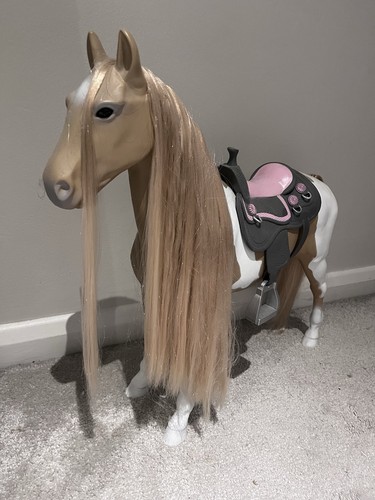 Our generation palamino - generation, horse