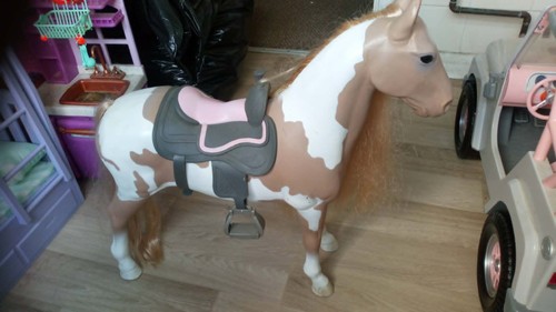 Our generation horse used - our,